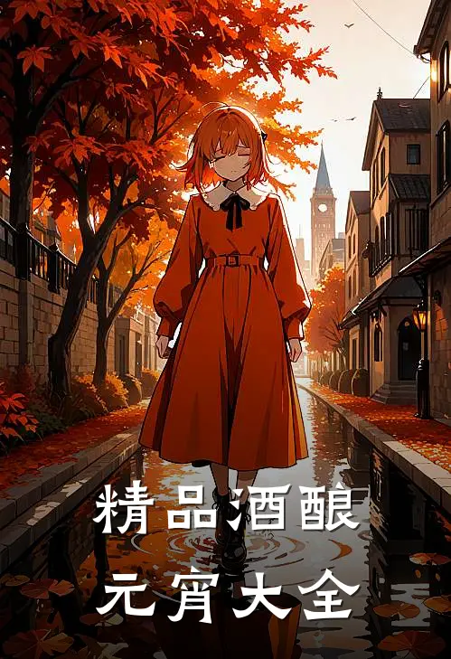 精品酒酿元宵大全