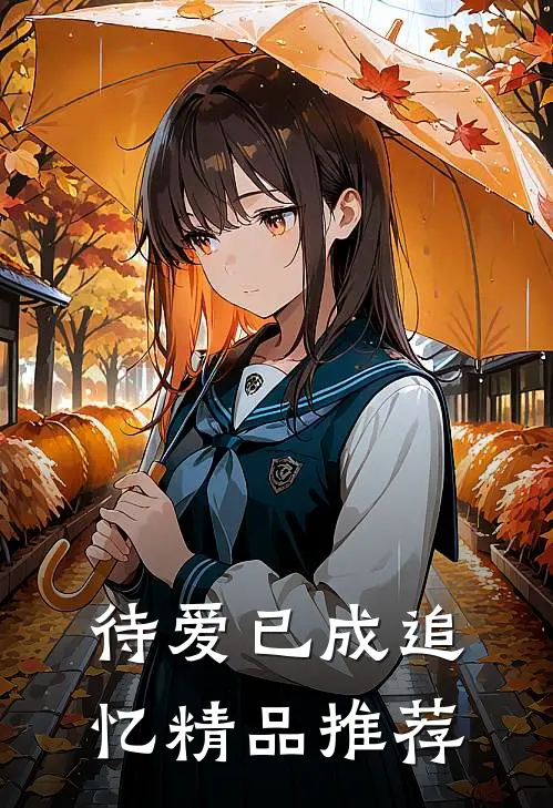 待爱已成追忆精品推荐