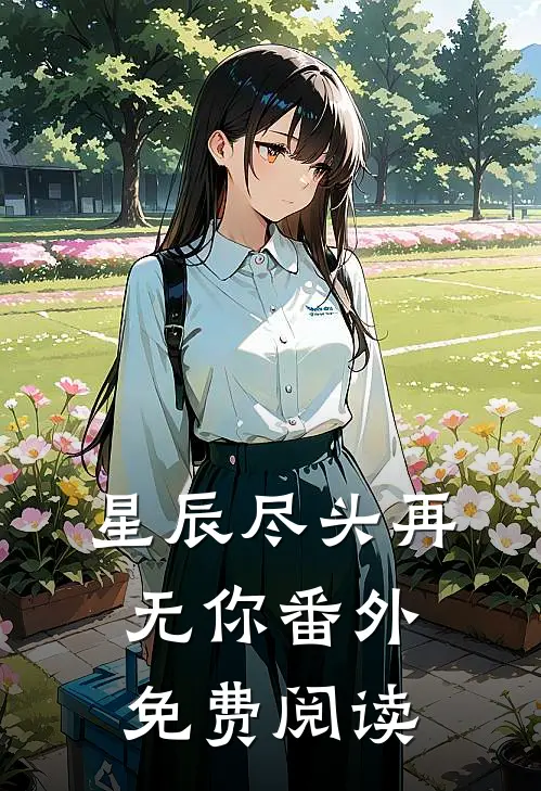 星辰尽头再无你 番外免费阅读