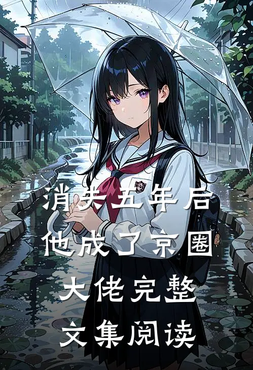 消失五年后，他成了京圈大佬完整文集阅读