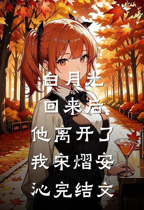 白月光回来后，他离开了我宋熠安沁完结文