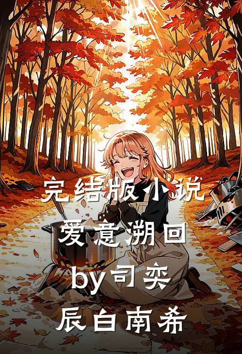 完结版小说爱意溯回by司奕辰白南希