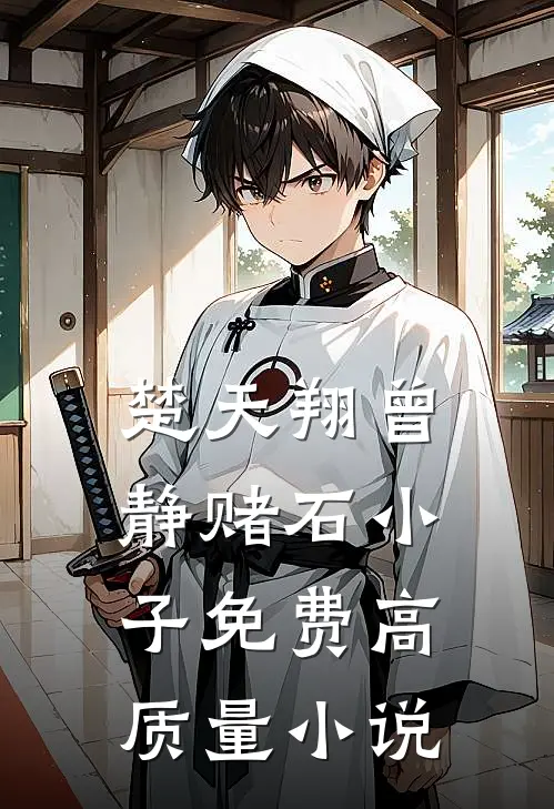 楚天翔曾静赌石小子免费高质量小说