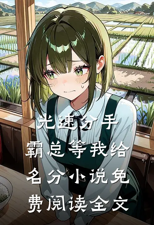 光速分手，霸总等我给名分小说免费阅读全文