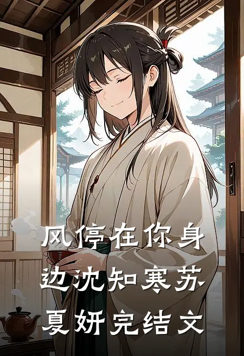 风停在你身边沈知寒苏夏妍完结文