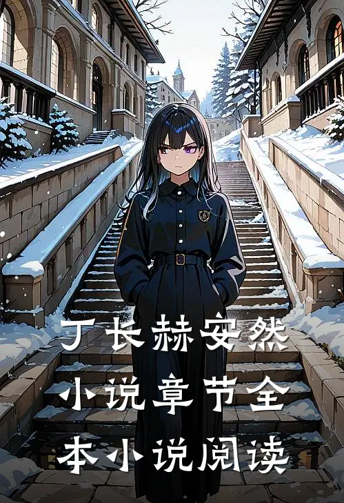 丁长赫安然小说章节全本小说阅读