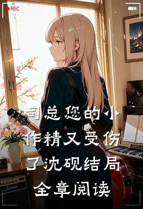 司总您的小作精又受伤了沈砚结局全章阅读