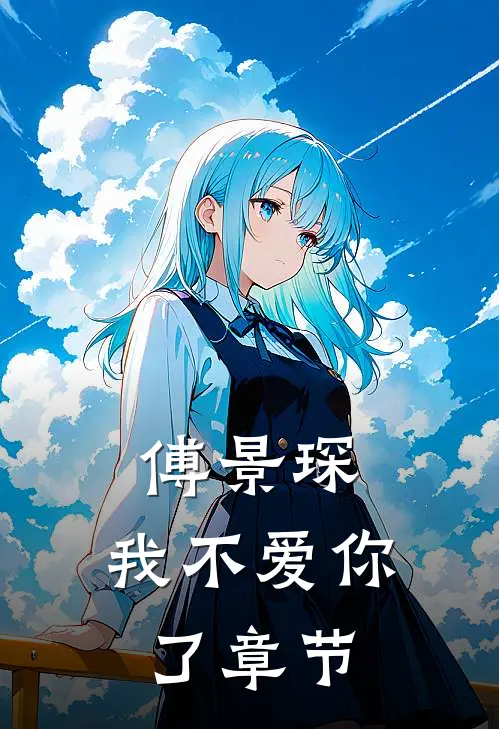 傅景琛，我不爱你了章节