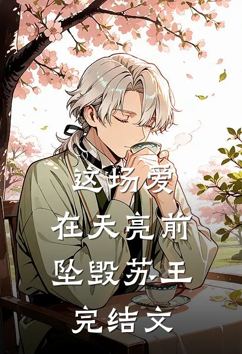 这场爱，在天亮前坠毁苏王完结文