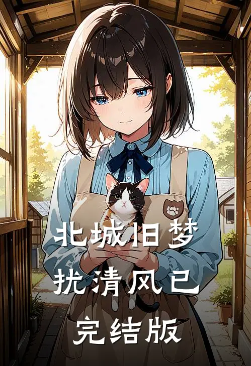 北城旧梦扰清风已完结版