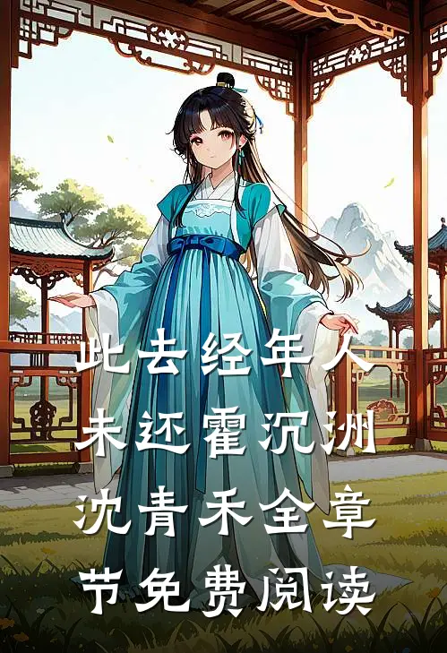 此去经年人未还霍沉洲沈青禾全章节免费阅读