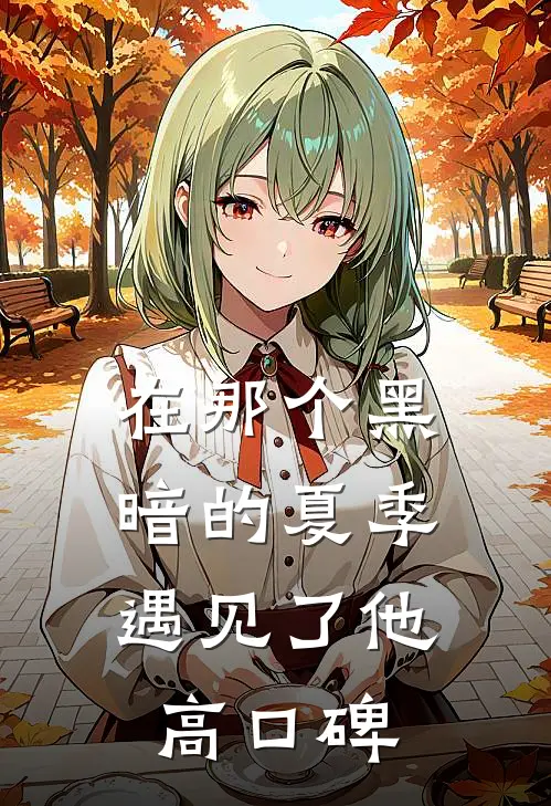 在那个黑暗的夏季遇见了他高口碑