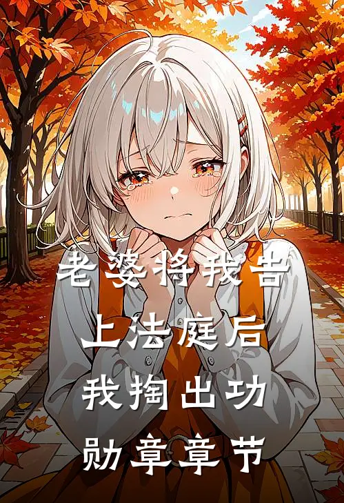 老婆将我告上法庭后，我掏出功勋章章节
