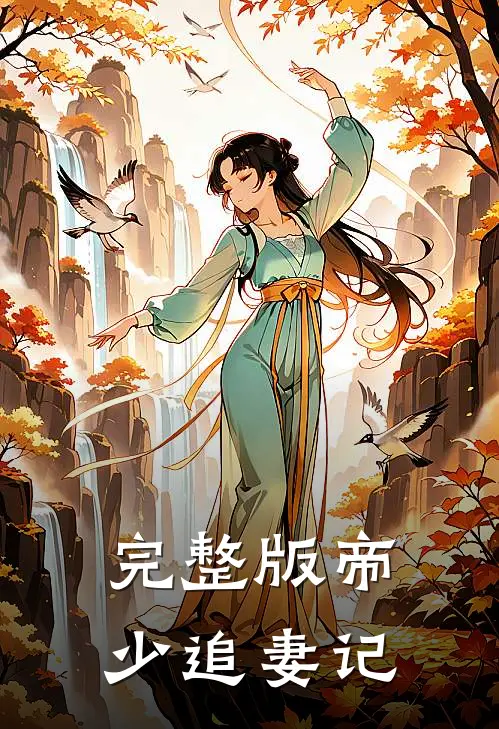 完整版帝少追妻记