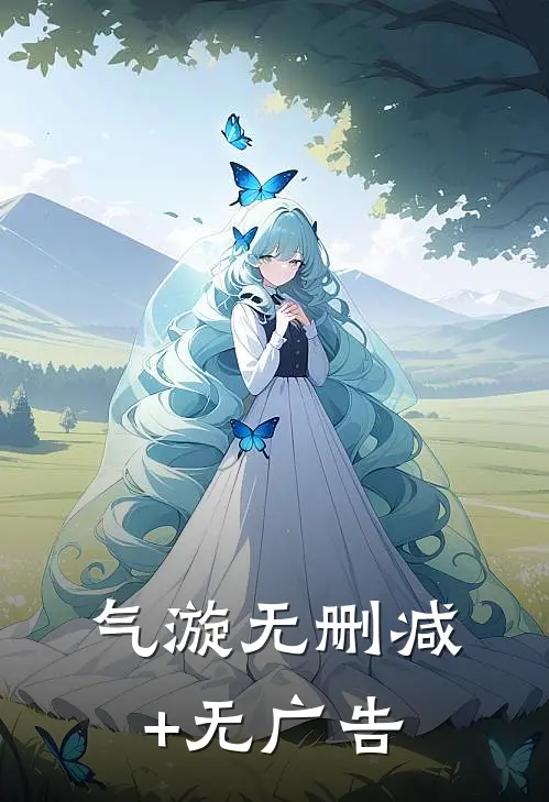 气漩无删减+无广告