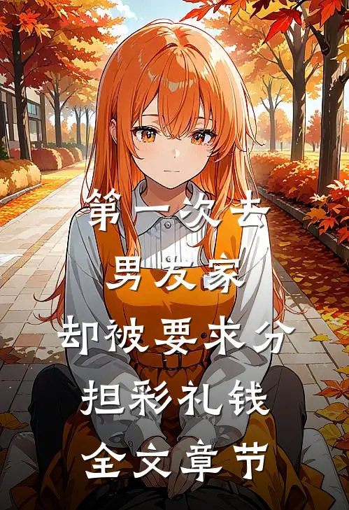 第一次去男友家，却被要求分担彩礼钱全文章节