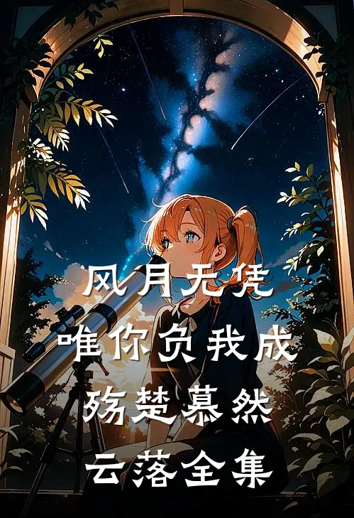 风月无凭，唯你负我成殇楚慕然云落全集