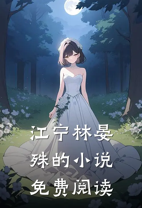 江宁林晏殊的小说免费阅读