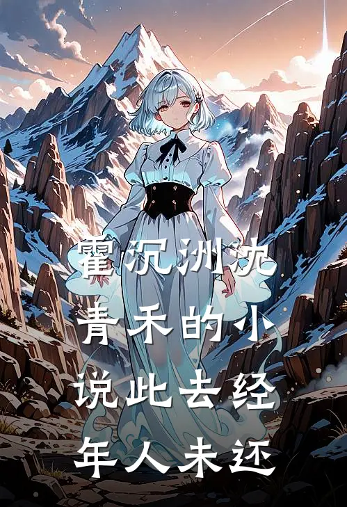 霍沉洲沈青禾的小说此去经年人未还