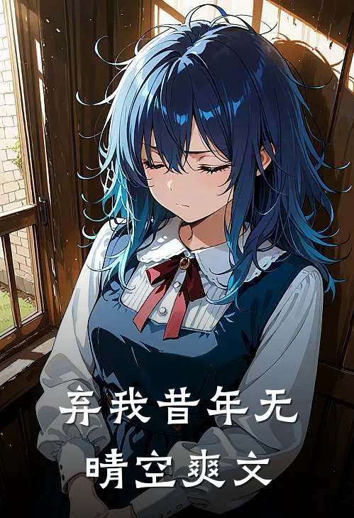 弃我昔年无晴空爽文