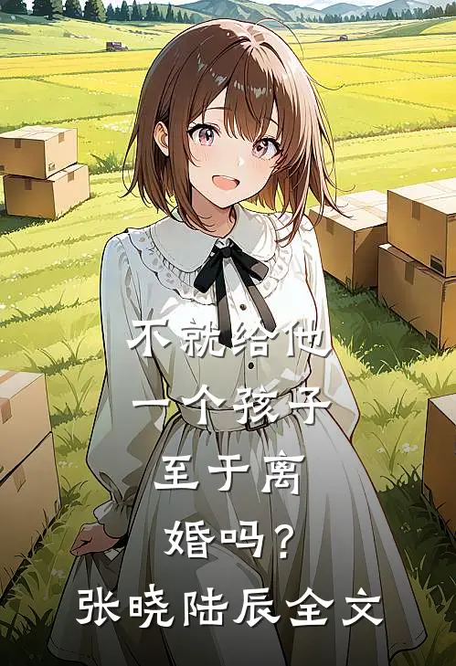 不就给他一个孩子，至于离婚吗？张晓陆辰全文