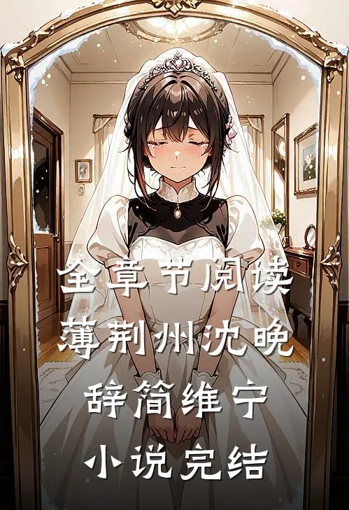 全章节阅读薄荆州沈晚辞简维宁小说完结