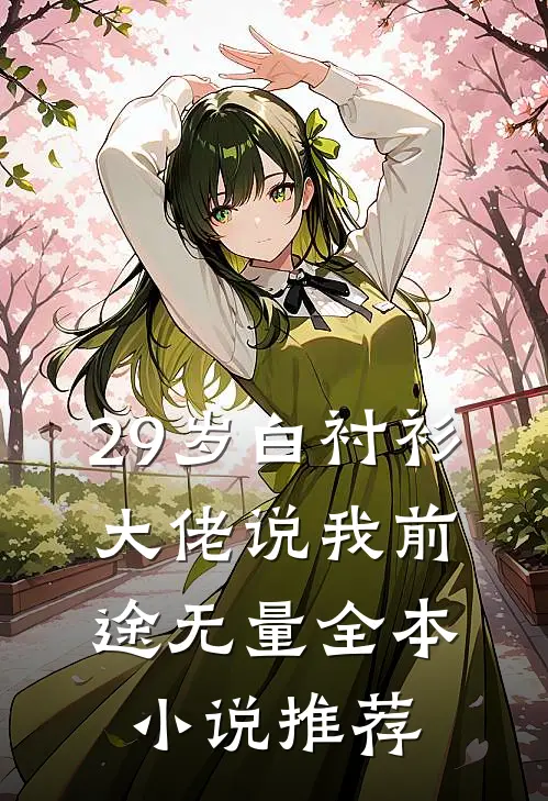 29岁白衬衫，大佬说我前途无量全本小说推荐