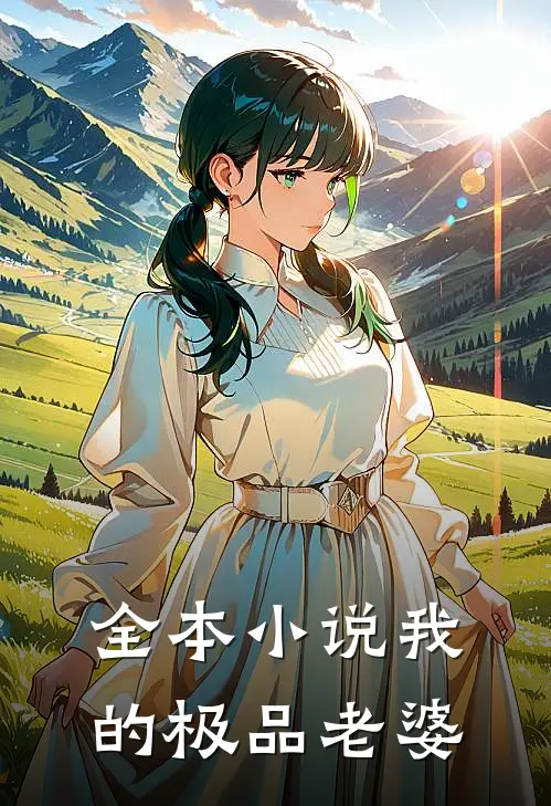 全本小说我的极品老婆