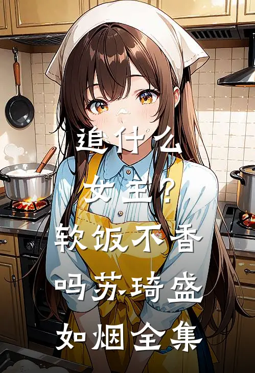追什么女主？软饭不香吗苏琦盛如烟 全集