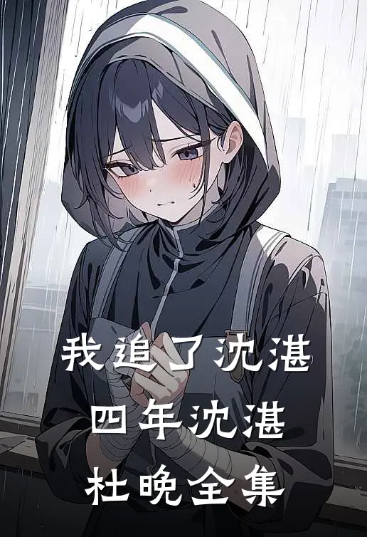 我追了沈湛四年沈湛杜晚全集